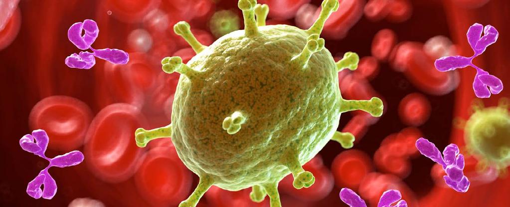 Immunhiánnyal, autoinflammatorikus és autoimmun betegségekkel foglalkozó ERN (ERN RITA) 32 Az ERN RITA hálózat összekapcsolja azokat a vezető európai központokat, melyek ritka immunológiai