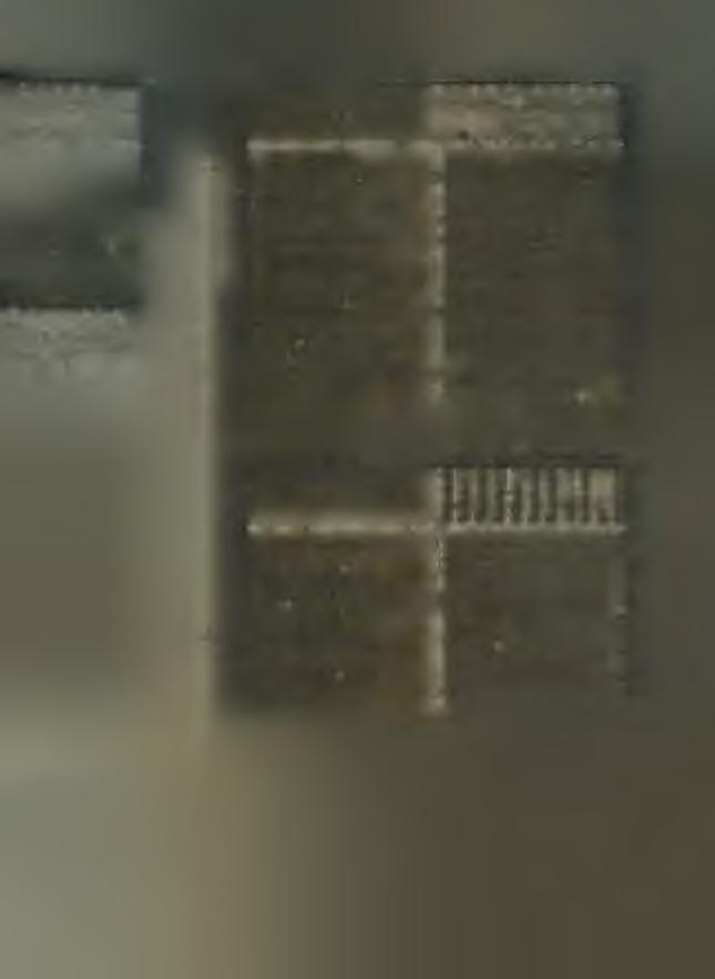 A tanuló neve és v allása > Ö sszesen : 45. ílyfőnök: Szaif Márton. M ucha M iklós N eubau er József N euberger Ignác 30 O rtancsik Imre Ördög F erenc. P atak y Zoltán Postbiegl Lóránt Sátor Imre.