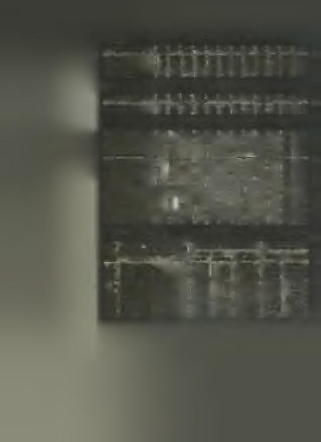A nyilvános tanulók m agaviseleté F o k o zato k I. A. I. B.. A. li. B. A. B IV. V. VI. Vll. VIII. Össz. p éld ás jó szab ály szerű k ev ésb b é szabálysz.