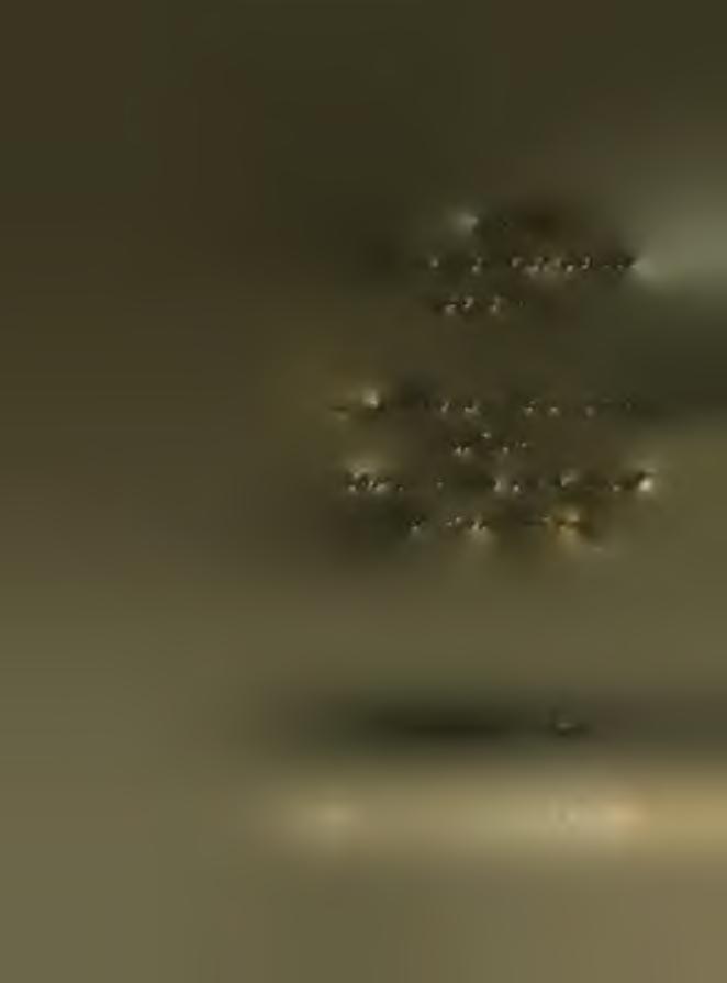 / / / ű y ty y y e y z /é ú a f e n e t á i a y i n / J t / á / f ó t