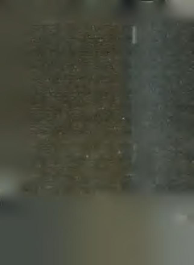 eg é szen közel a S ág-hegyhez. N em rég a z öröm víg d ala harsogott itt, s m ost m inden szom orú és kihalt. Oh, a szárn y as idő hirtelen e lre p ü l!