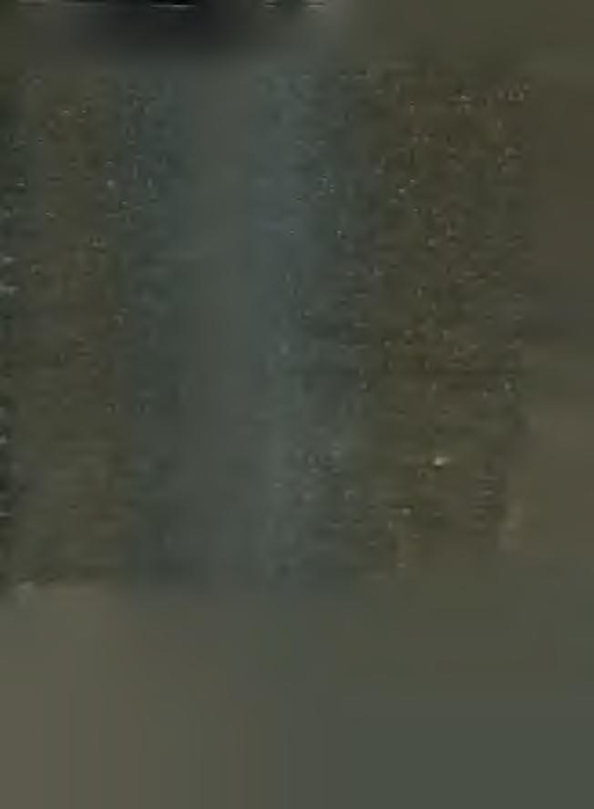 . Nem rég az öröm víg dala harso- i árú és kihalt.
