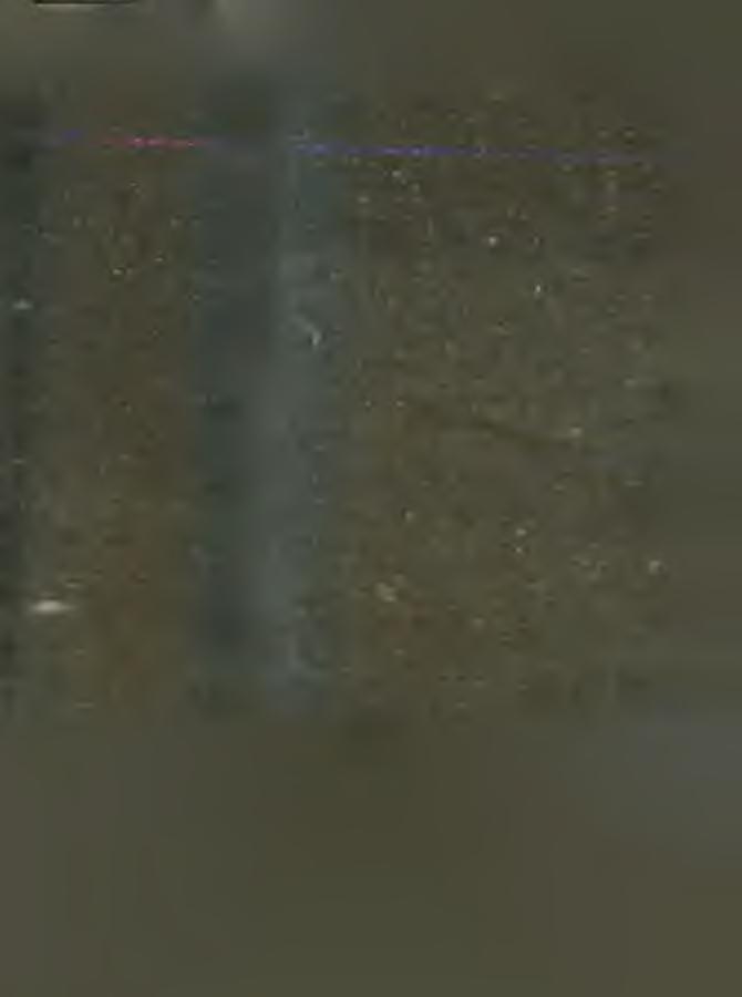 4 A tem plom építéssel sáról is gondoskod ott é s ez t kegykára kebeleztette.