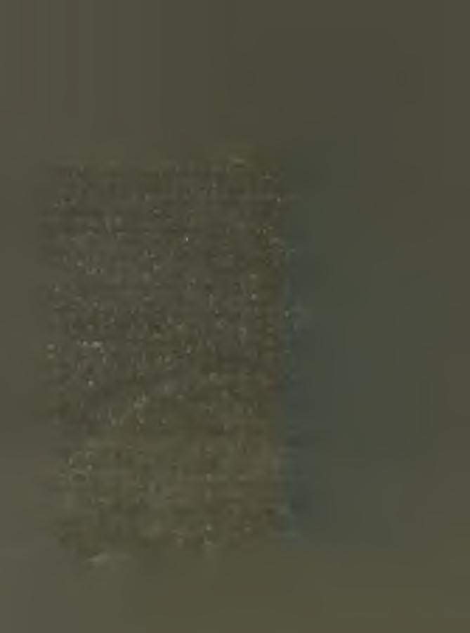fog történni. Ez a jóslat ugyan nem vált be, de 80. október 20-án D ániel főapát m égis abban a biztos tu d atb an h u n y h atta be szemét, hogy szétszórt fiai nem sokáig lesznek id eg en b en".