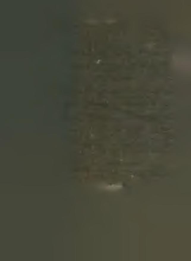 A fiúk m ost a rem eték m agyarországi letelepedése iránt érd ek lődnek. A rend a XVII. század b a n honosodott m eg nálunk.