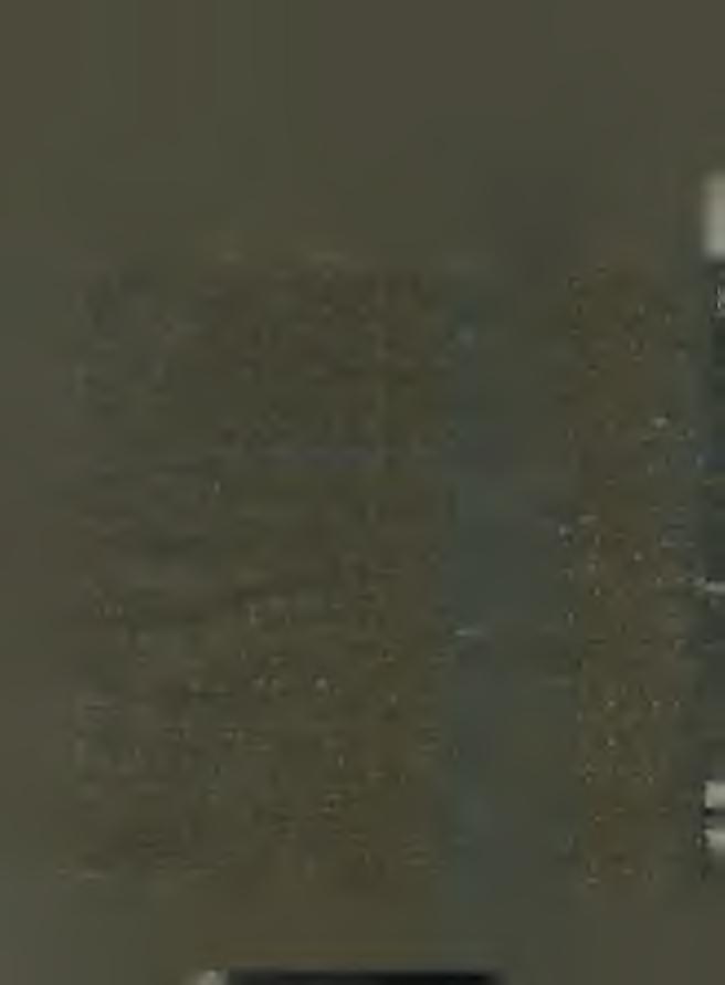 02 n é p é n délelőtt ifjúságunkkal a tem ető b e, hogy ott h iv atáso s m unk á ik a t befejező eleink sírjánál koszorú helyezéssel, im ádsággal, énekkel s kegyeletes szavakkal rójuk le hálánkat.