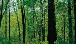 csatlakoztatható WE CARE FOR NATURE A klímaberendezések