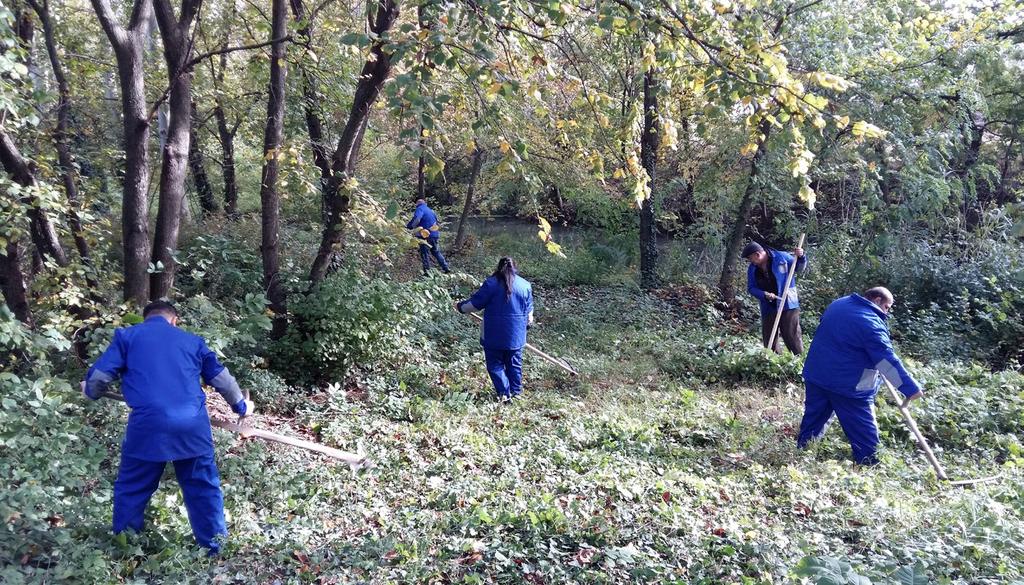 Jelentősen javult a csatornáink vízelvezető képessége a közfoglalkoztatás által A 2016. évi közfoglalkoztatási programunk 2017. február 28-án ért véget.