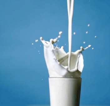 Fogyasztási tej -készítmények Fogyasztási tejszínkészítmények Ízesített tejkészítmények Italok Pudingok Pasztőrözött tejek Féltartós tejek Fogyasztási tejek Ultrapasztőrözött tejek Dúsított tejek