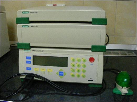 4. centrifugáltuk (15 perc 4500 rpm, 4 o C) 5. a pelletet 50 ml jéghideg, steril 10%-os glicerin oldatban felszuszpendáltuk 6. centrifugáltuk 7.