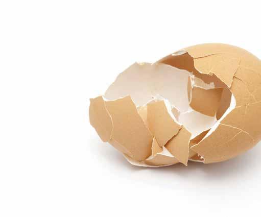4 ötlet a tojáshéj ellenálló képességének növelésére a tojóidőszak végén A tojáshéj szilárdsága a tojótyúkok korának előre haladtával természetesen csökken, de lehetőség van arra, hogy az anyagcsere