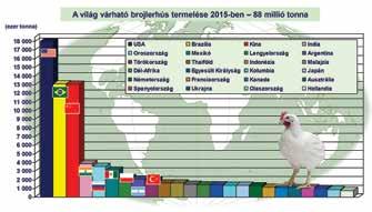 Mexikó 3,100 Argentína 2,060 Törökország 1,980 Thaiföld 1,650 Indonézia 1,625 Malajzia 1,460 Dél-Afrika 1,435 Kolumbia 1,390 Japán 1,360 Kanada 1,100 Ausztrália 1,080 Ukrajna 980 A világ brojlerhús