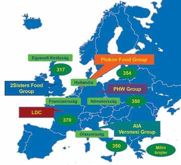 Az LDC Európa legnagyobb brojler integrációja (Franciaország, Spanyolország és Lengyelország), évi 370 millió csirke feldolgozásával, ezt a céget a holland Plukon Food Group követi 354 millió éves