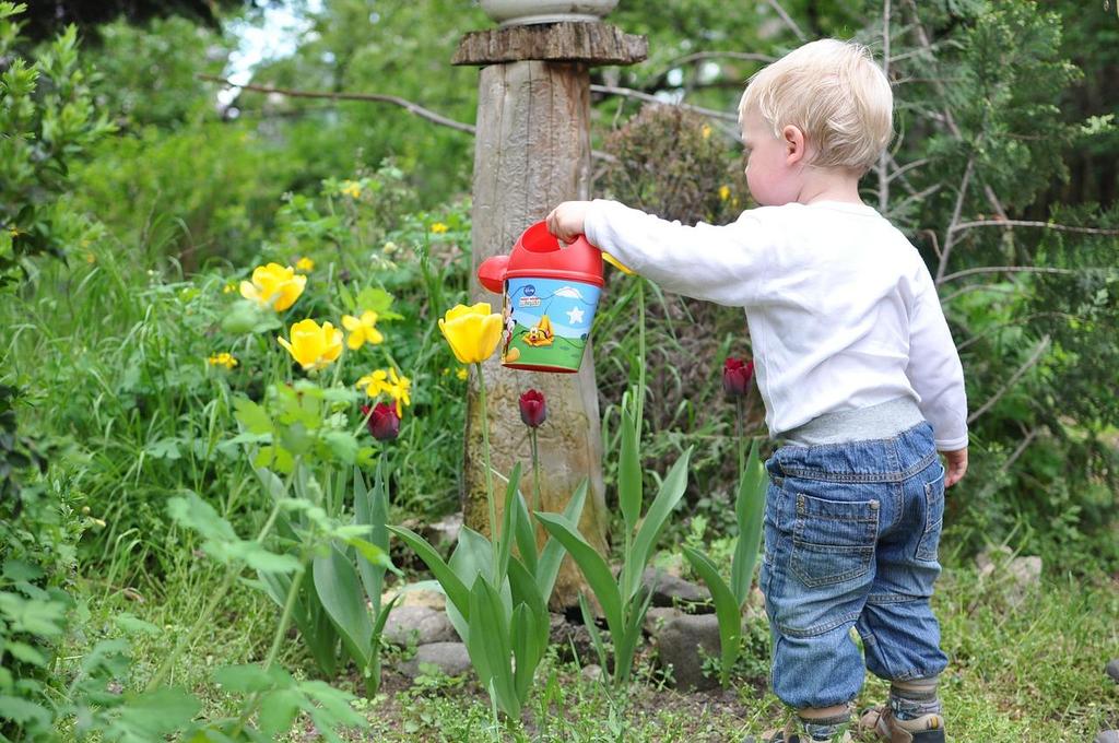 Endorphine tippek a növényi mérgezések kivédésére Endorphine Flowers