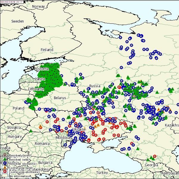 OIE 2014-2017 Kör: házi