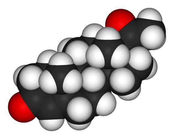 fenolos jellegű) piros:= eltérés az ösztradiol és a tesztoszteron között 1.3.