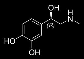hosszú CRH (Corticotropin-Releasing Hormone) szabályozza.