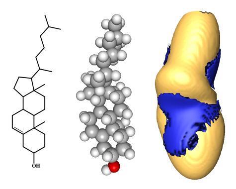 a koleszterin 3D-térszerkezete: koleszterin a tutajban : GalCer:= galaktozil ceramid A sejtmembránt két