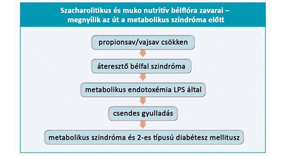 MECHANIZMUSOK, MELYEKNEK HATÁSA LEHET