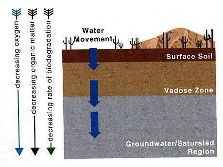 A szárazföldi ökoszisztémákban három fő helye van a talajszennyeződések előfordulásának: a talajfelszín, a telítetlen talajréteg és a víztelített talajréteg.