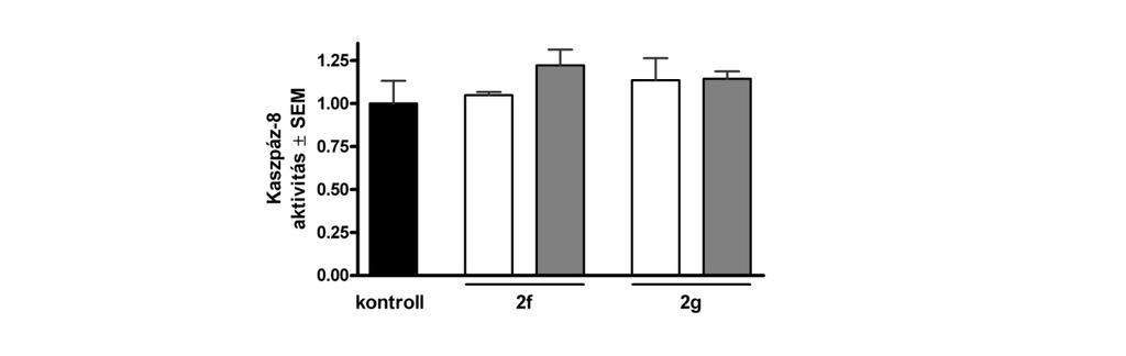 tesztanyagok proapoptotikus hatásának megerősítését (Connolly et al., 2014). Ezért meghatároztuk az apoptotikus Bax és antiapoptotikus Bcl-2 kifejeződését.