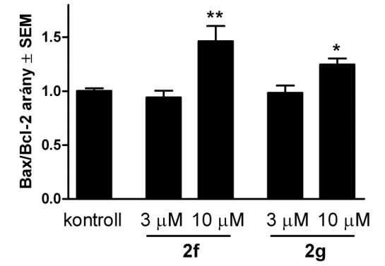 5. ábra A 2f és 2g vegyületek hatása a Bax/Bcl-2 arányra HeLa sejtek 24 órás inkubációja után. n: 4, *, ill. **: p<0,05, ill. p<0,01 a kontroll kondícióhoz viszonyítva.