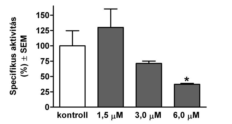 31. ábra A 8c vegyület hatása a HL-60 sejtek morfológiájára 8 és 24 órás kezelés után. n: 3, ** ill. ***: p<0,01, ill. p<0,001 a kontroll kondícióhoz viszonyítva.