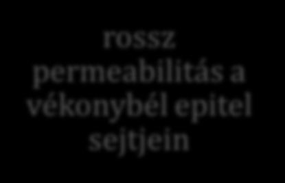 A szilimarin a biofarmáciai osztályozási rendszer szerint a IV.