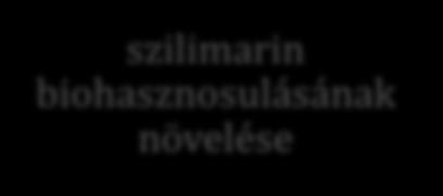 2.3.4.