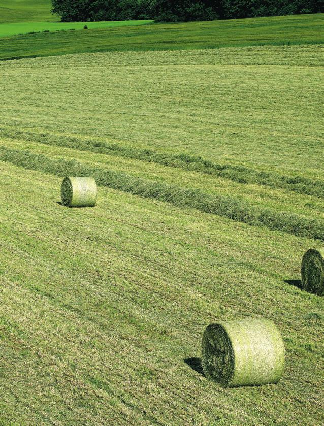 CLAAS ALKATRÉSZ agritech 29 MENNYIT NYERHETÜNK A CSOMAGOLÁSON?