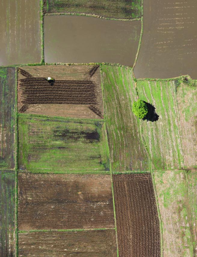 AXIÁL SZERVÍZ agritech 31 สว สด (Sawadee) Thaiföldről.