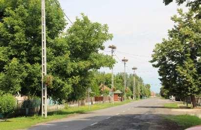 11 1. (forrás: nemzetijelkepek.