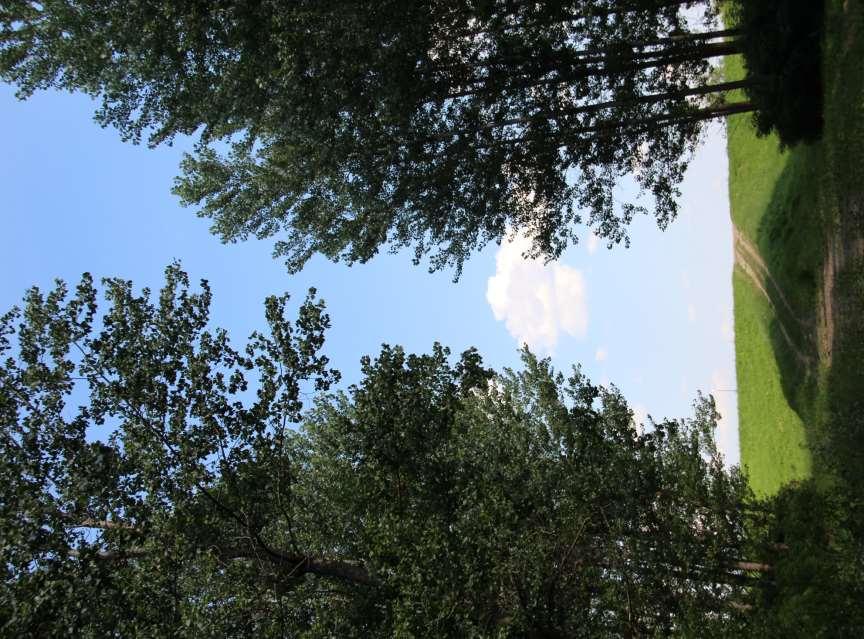 34 A Tisza árterülete a