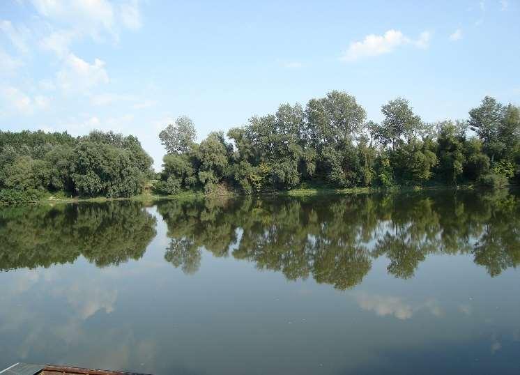 45 NAGYVíZI MEDER TERÜLETE TISZA ÉS AZ ÁRTERÜLETE A Tisza Alföldünk főfolyója, hazánk második leghosszabb folyója. A folyót a XIX.