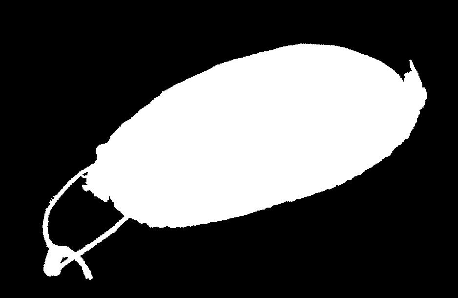 CSONTOS
