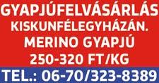 A csomag összetevői a 2,4 kg Diniro (nikoszulfuron + proszulfuron + dikamba) és a 10 liter Successor T