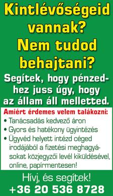Azoknak a cégeknek kell a legnagyobb figyelmet fordítani az adatvédelemre, akik olyan nagy mennyiségű személyes adatot kezelnek, amelyek már profil alkotásra is
