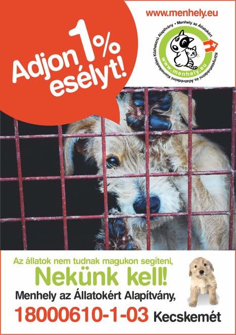 segítségnyújtásának fontosságát. Az alkotói pályázaton grafikával (rajzzal, festéssel) lehet indulni. Stílusbéli vagy egyéb megkötés nincs, A4/A3-as méretű beadvány az ideális méret. KOROSZTÁLYOK: 1.