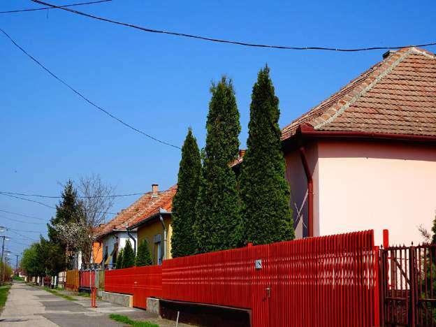 Jellemzően az előkertek azonos méretűek, a beépítési vonal megegyezik és a kerítés magasság, sőt a kerítés lábazat magassága is közel azonos.