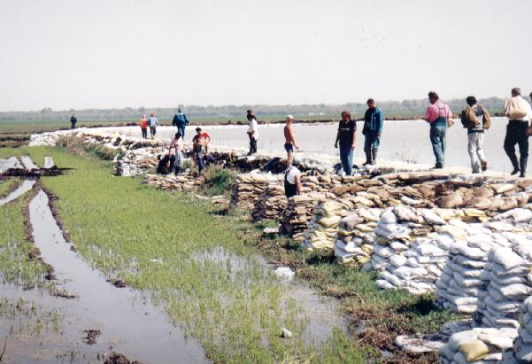 13-17. kép. Tiszajenő-Vezseny magasparti védekezés.