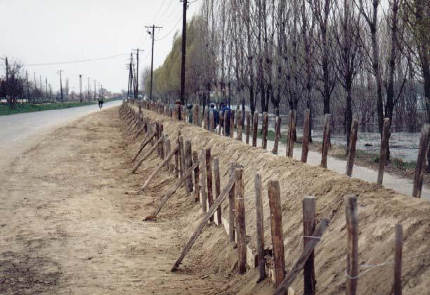 13-19. kép. Nyúlgát Tószeg belterületén, 2000. áprilisban. 13-15. ábra. Nyúlgát Tószeg belterületén (keresztmetszet). Tószeg térségében a 13-19. képen és 13-15.