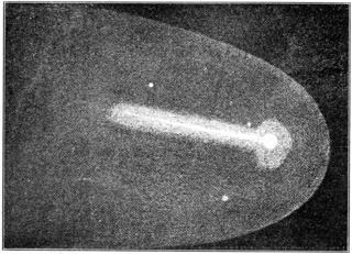 Üstökösök 19. sz. elejére 1-2 felfedezés évente, század végére több száz ismert pályával specializálódott üstökös- vadászok pl. Jean-Luis Pons: 36-ot talál pl.