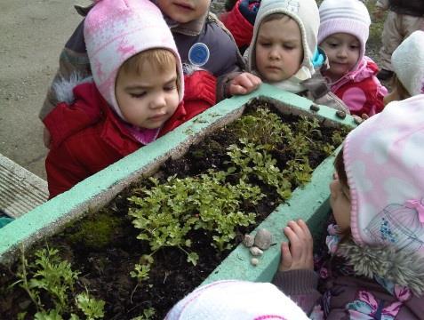 4.6. MONTESSORI SZEMLÉLETŰ NEVELÉS Mottó: Segíts nekem, hogy magam csinálhassam.