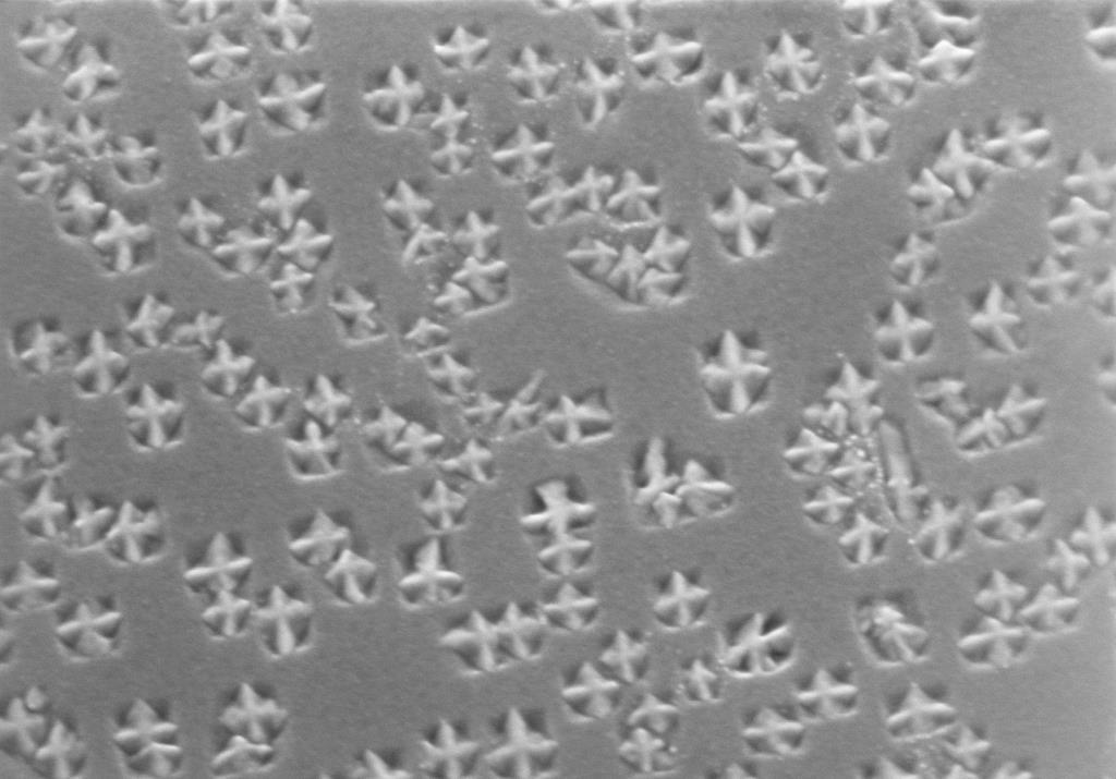 Szilícium karbid nanokristályok SiO 2/Si határfelületen 2016 100 nm 28. ábra: (100) Si felület SEM képe CO-s kezelés után. A felületi oxidréteget a felvétel előtt HF-es oxidmaróban lemartuk.