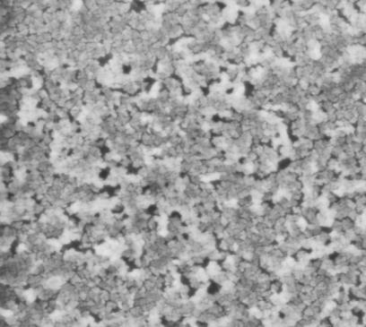 Szilícium karbid nanokristályok SiO 2/Si határfelületen 2016 35 Laterális méret [nm] 30 25 20 15 Felület [nm 2 ] 1200 1000 800 600 400 200 1 2 3 Hőkezelési idő [óra] 1 2 3 4 5 6 Hőkezelési idő [óra]