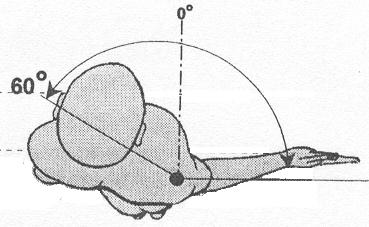 MECHANIKAI BEÁLLÍTÁSOK A KIFELÉ ROTÁCIÓ mozgásfolyamat beállításai A KINETEC Centura 60 -os befelé rotációs és 90 -os kifelé rotációs ívet ír le.