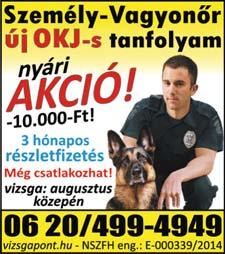 Versenyképes jövedelem. Stabil cégnél, hosszútávú munkalehetőség. +36 30 943 1757 NINCS munkád? Betanított munkakörbe keresünk kollégákat sopronkövesdi munkahelyre.