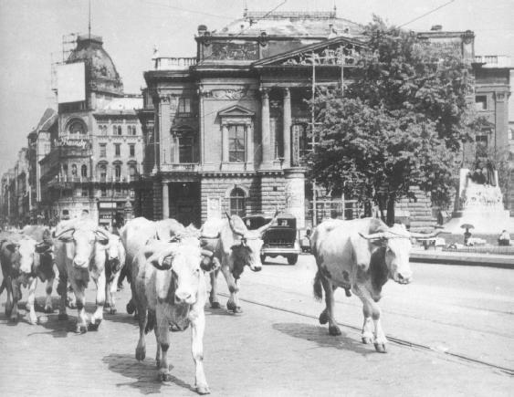 (Kizárólag a két megfelelő válasz esetén: 1 pont) A) A legtöbb katona az észak-olaszországi hadszíntéren folyó harcokban esett el.