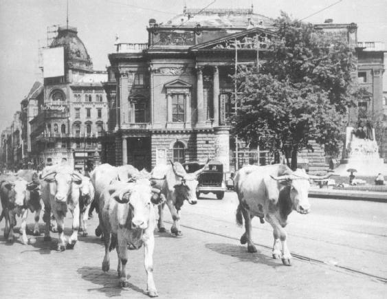 (Kizárólag a két megfelelő válasz esetén: 1 pont) A) A legtöbb katona az észak-olaszországi hadszíntéren folyó harcokban esett el.