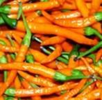 Nagyon bő terméű. Akár 1 m magara i megnő. 3-45 Nagyon maga hozamú paprika.